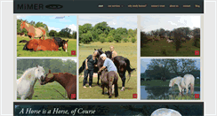 Desktop Screenshot of mimercentre.org